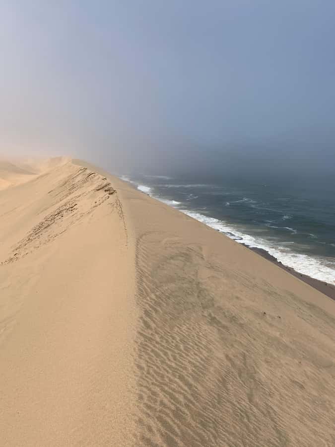 Namibia; Classic Sandwich Harbour Tour - Walvis Bay breaks: salt-air views and wildlife spotting
