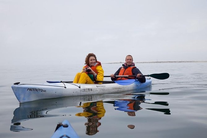Pelican Point Kayaking Half-Day Tour - Why Pelican Point Kayaking is such a good Walvis Bay morning