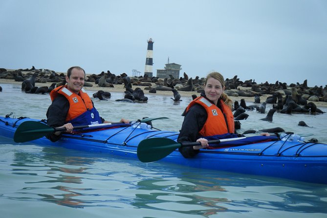 Pelican Point Kayaking Half-Day Tour - Meeting point and first logistics: Anchors Waterfront at 8:00 am