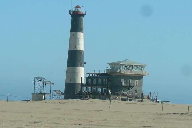 Pelican Point Peninsula Tour- visit the seal colony - The Walvis Bay Salt Refinery stop adds real context