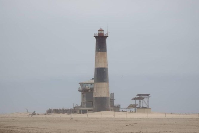 Pelican Point Seal Colony 4x4 Tour - Pickup, small group pace, and why it feels efficient
