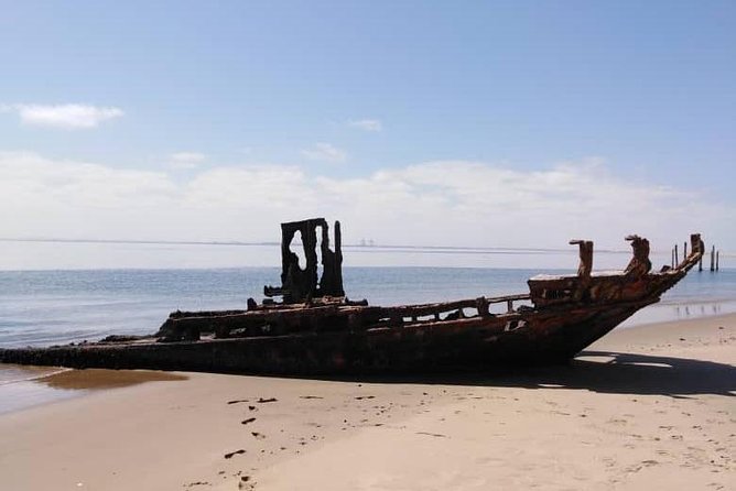 Pelican Point Seal Colony 4x4 Tour - What the food and drinks add to the experience