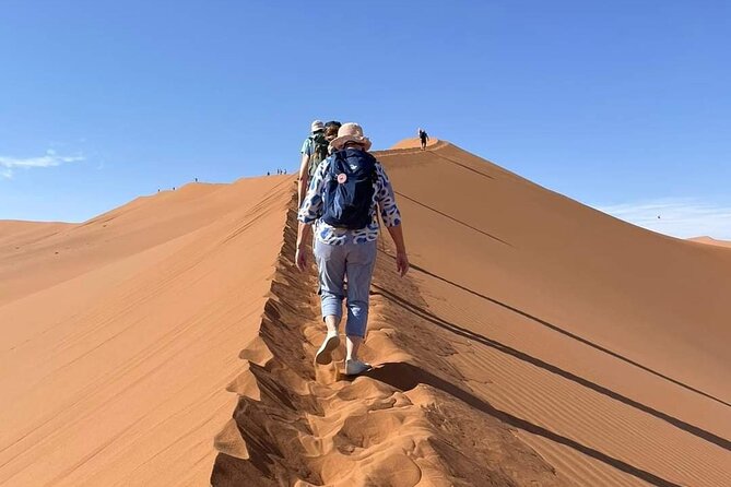 Pelican Point tours,Lagoon tours, Dune7 Adventure - Private guiding with Paulus and Jamba: why it matters more than you think