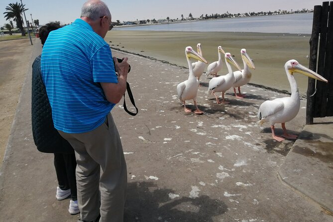 Pelican Point tours,Lagoon tours, Dune7 Adventure - Price and value: is $250 per person a fair deal?