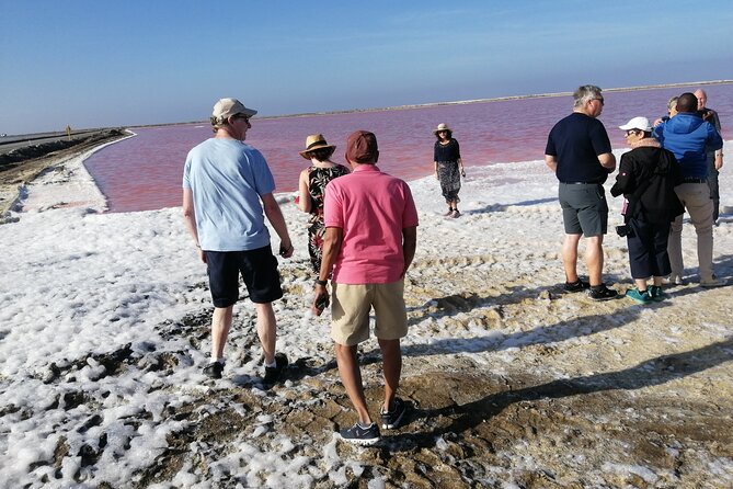 Pelican Point tours,Lagoon tours, Dune7 Adventure - Who this tour suits best