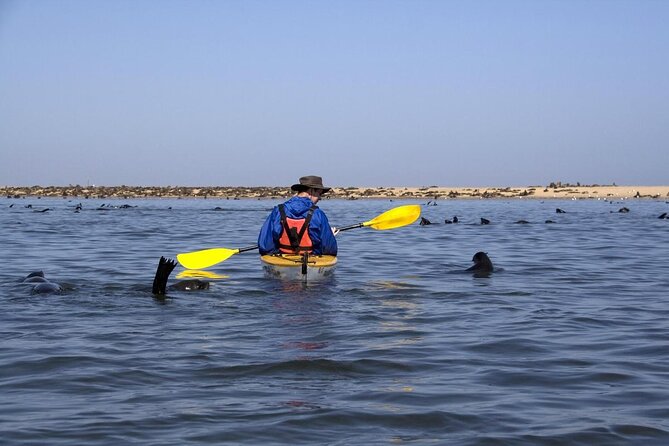 Pelican Point tours,Lagoon tours, Dune7 Adventure - Day 1 at Walvis Bay Lagoon: seals, flamingos, Pink Lake views, and a dune teaser