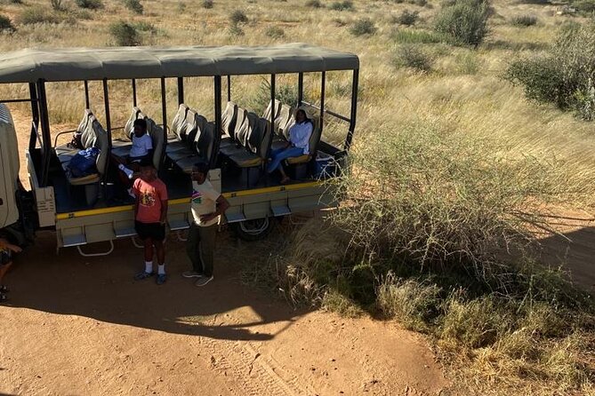 Predator Encounter: Half-Day Carnivore Feeding Windhoek - The feeding experience: what you’ll see, and why it feels different