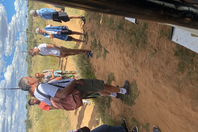 Predator Encounter: Half-Day Carnivore Feeding Windhoek - My honest take on the big “expectation gap” risk