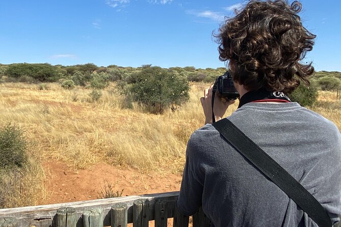 Predator Encounter: Half-Day Carnivore Feeding Windhoek - Ambassador animals and conservation lessons you can actually use