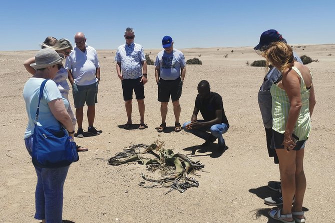Private Half Day Coast Tour of Walvis Bay and Swakopmund City - Key things you will notice on this tour