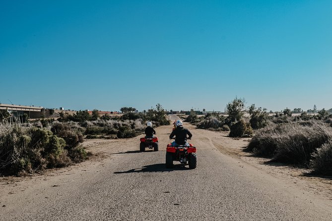 Quad Bike Tour (2 hours) - Who Should Book This Quad Bike Tour (and Who Might Want Something Else)