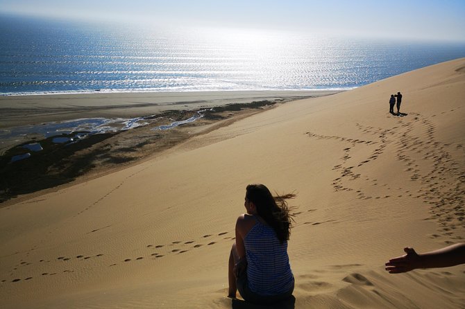 Sandwhich Harbour Dune 4x4 Full Day - Key highlights at a glance