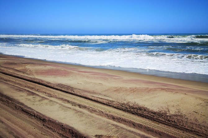Sandwhich Harbour Dune 4x4 Full Day - Who this tour fits best