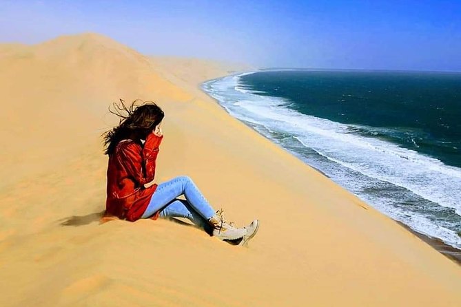 Sandwhich Harbour Dune 4x4 Half day - Walvis Bay lagoon stop: flamingos and migrant waterbirds