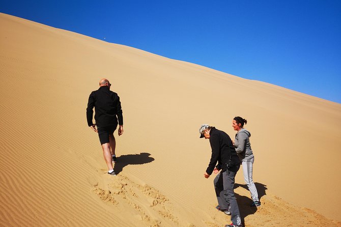 Sandwhich Harbour Dune 4x4 Half day - Snacks, food breaks, and keeping the day enjoyable