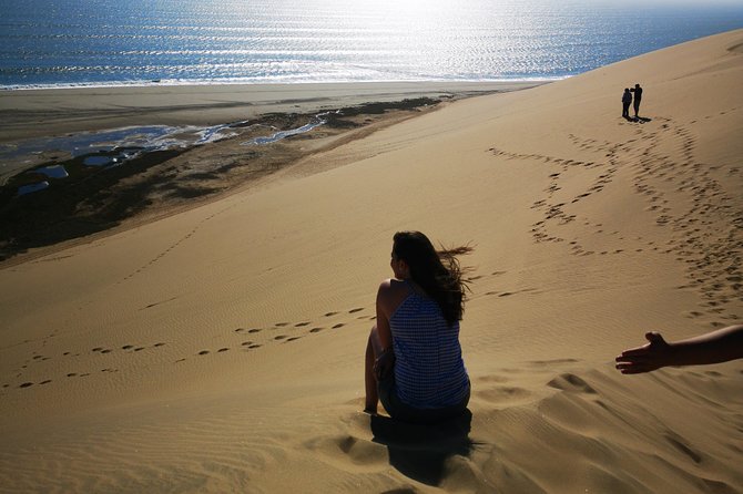Sandwhich Harbour Dune 4x4 Half day - Your 4WD chauffeured ride, and what to expect from it