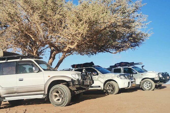 Sandwich Harbour 4X4 Excursion Tour Food and Drinks - Walvis Bay Wetlands, flamingos and pink salt works from the right angles