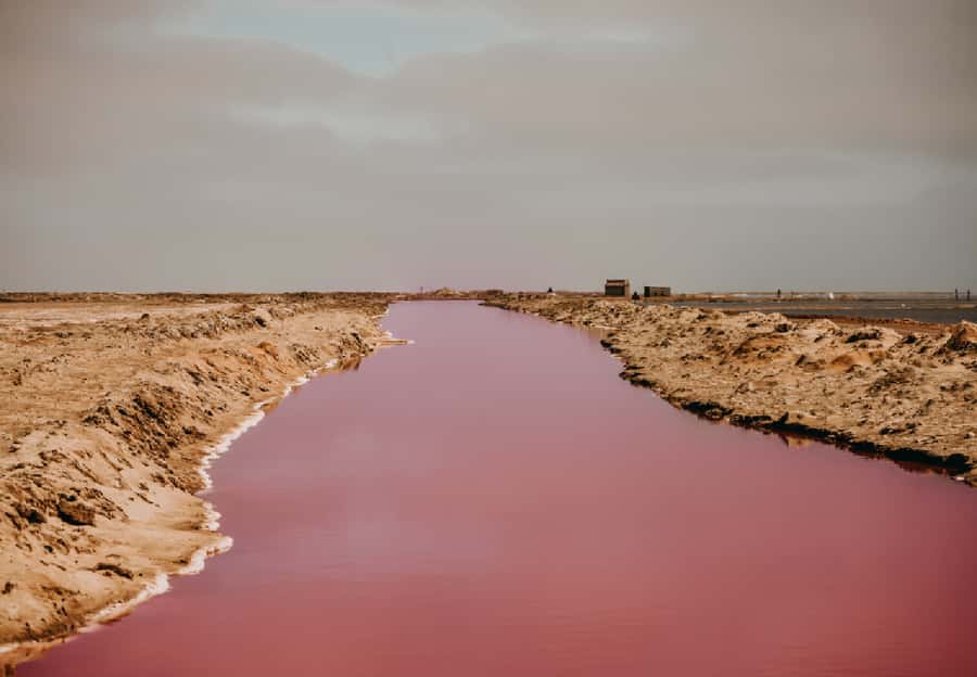 Sandwich Harbour 4x4 Guided Tour - Flamingos, salt works, and why this half-day feels big