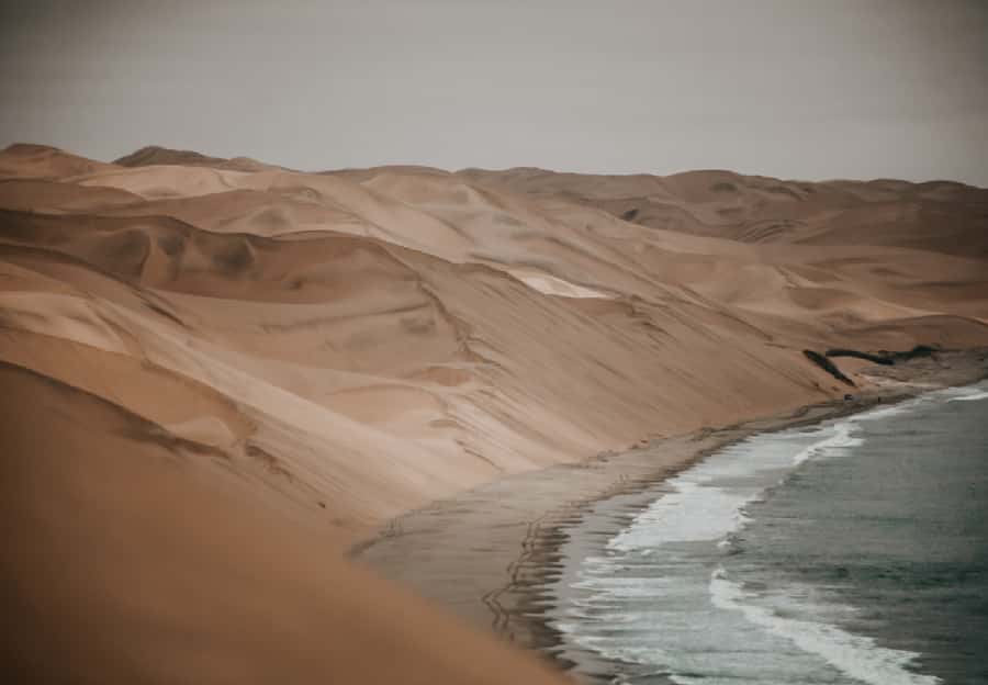 Sandwich Harbour 4x4 Guided Tour - Price and value: is $180 a fair deal?