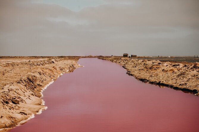 Sandwich Harbour 4x4 Guided Tour - Unforgettable Adventure - Stop 2: Walvis Bay Esplanade, flamingos from the lagoon edge