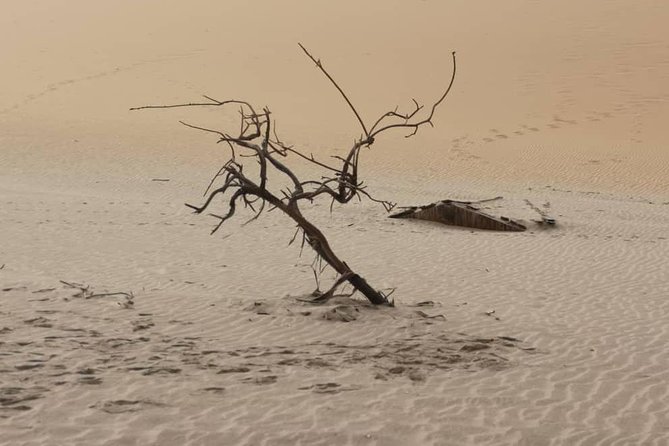Sandwich Harbour 4x4 guided tours.Join us for an awe inspiring adventure. - Should you book this 4x4 guided tour?