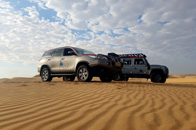 Sandwich Harbour 4x4 Half Day Experience with Beach Braai - The AM vs PM schedule: catamaran timing and why it matters