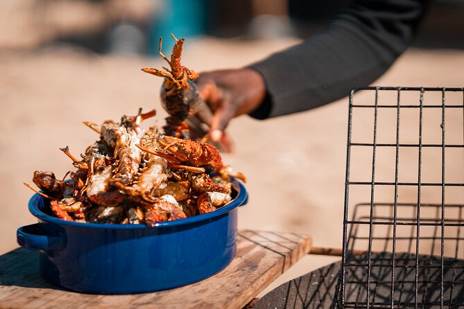 Sandwich Harbour 4x4 Half Day Experience with Beach Braai - The short catamaran window: seals, pelicans, dolphins, and the bay feel