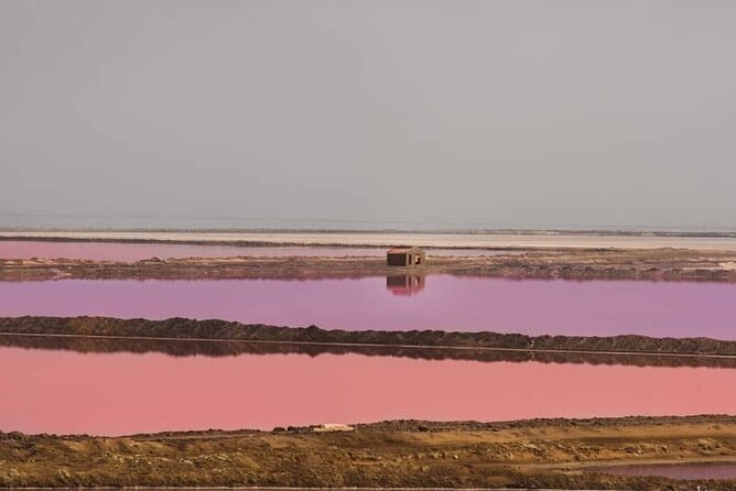 Sandwich Harbour 4x4 Private Guided Tour - Your very own private tour! - Key highlights you should care about