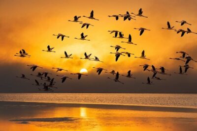 Sandwich Harbour 4×4 Private Guided Tour – Your very own private tour!