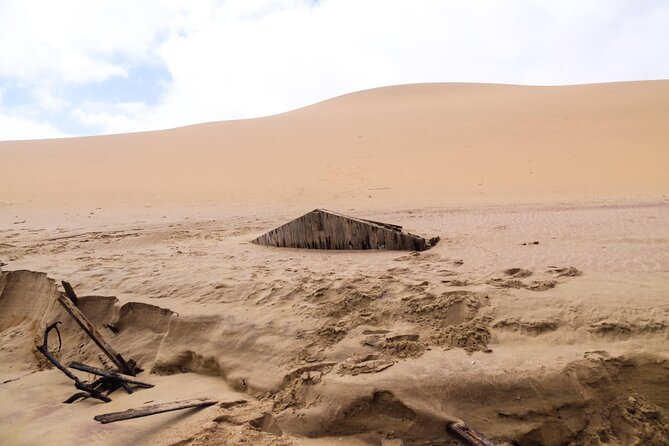 Sandwich Harbour 4x4 Tour - Why Sandwich Harbour feels like Namibia’s best trick