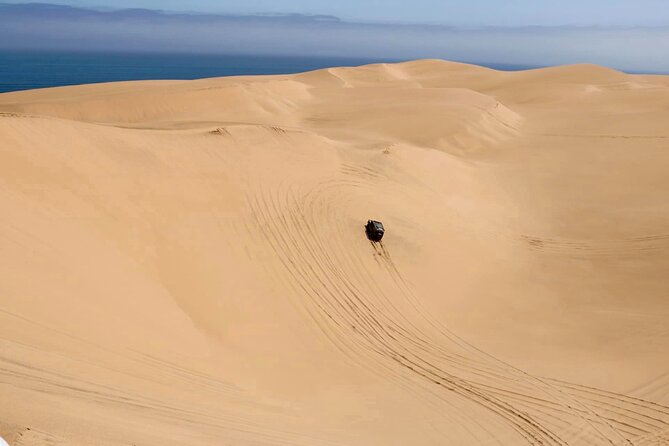 Sandwich Harbour 4x4 Tour - Walvis Bay stop: salt pans, a flamingo lagoon, and getting the terrain lesson fast