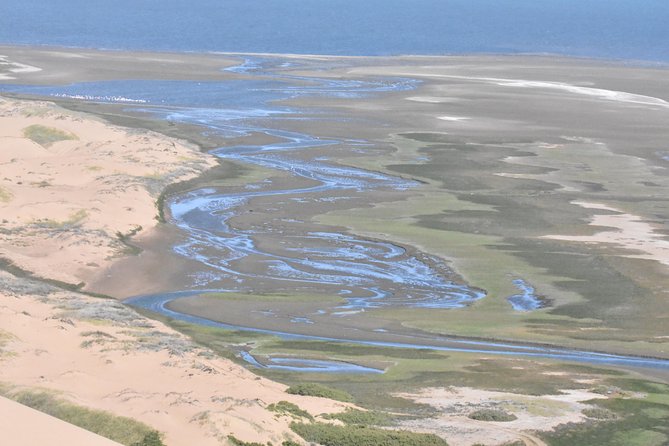 Sandwich Harbour Adventure: Seals and Sandwich harbour dune drive - Scenery Stops That Make the Day Feel Like a Route, Not a Checklist