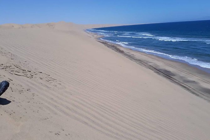 Sandwich harbour and Welwitschia Tour - Goanikontes, the quick oasis stop that explains why Swakopmund exists