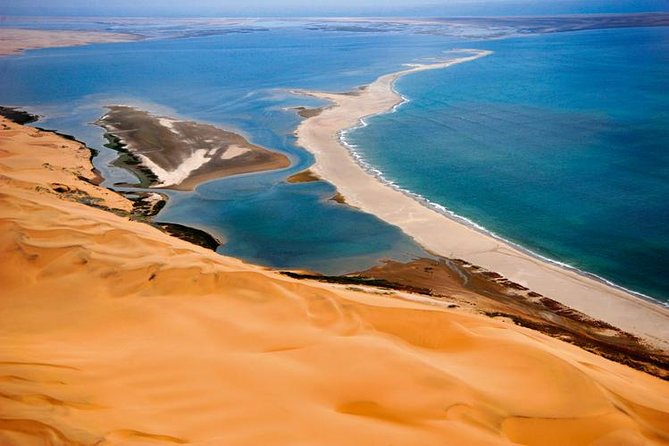 Sandwich Harbour Full Day Excursion - A morning-focused day in Walvis Bay that hits three habitats