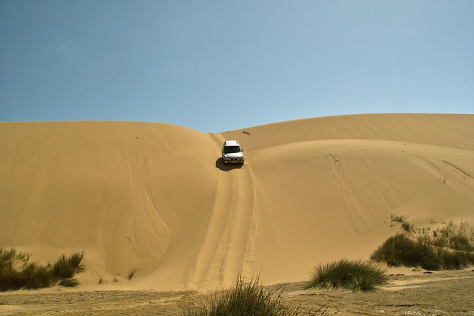 Sandwich Harbour Guided, Self-Drive Tour - Your morning start in Walvis Bay (and why it matters)