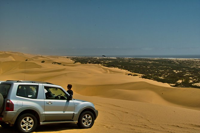 Sandwich Harbour Guided, Self-Drive Tour - Self-drive 4x4 reality check: what you’re responsible for
