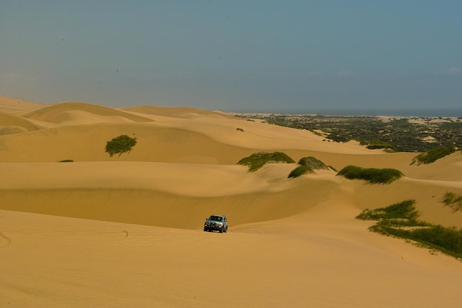 Sandwich Harbour Guided, Self-Drive Tour - Beyond dunes: Atlantic edge, tidal passage, and Kuiseb River Delta moments