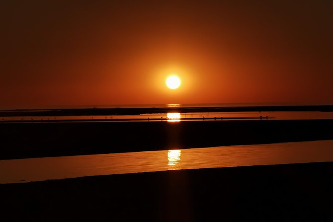 Sandwich Harbour Half Day Excursion - Entering Sandwich Harbour: Where the Namib Meets the Sea