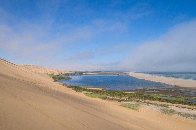 Sandwich Harbour Half Day Excursion - Price Value at $155.84: What You Get for a Half Day