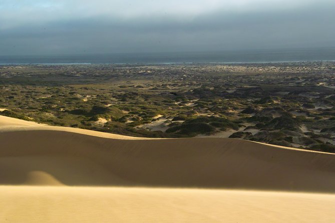 Sandwich Harbour Sunset Photography Tour - Why Walvis Bay birds plus the Namib dunes make this sunset tour work