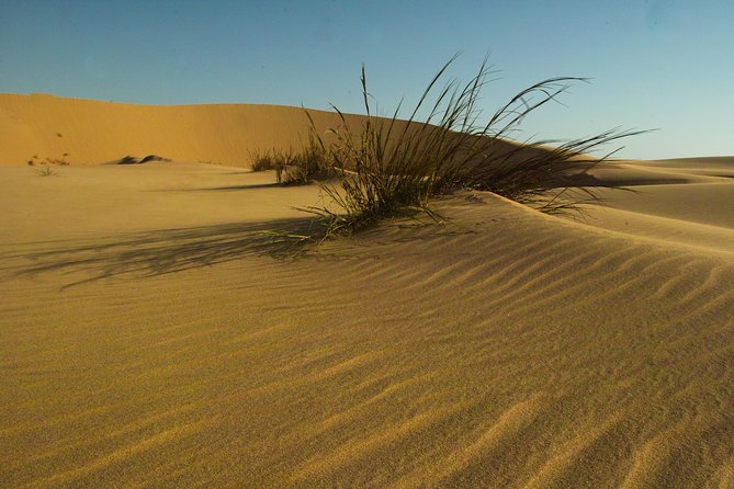 Sandwich Harbour Sunset Photography Tour - Stop 2 in the Namib Desert: dunes, dusk texture, and where the angle matters