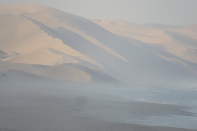 Sandwich Harbour Tour - Pelgrim Tours - Kuiseb River Delta beach and dune crossing, where wildlife shows up
