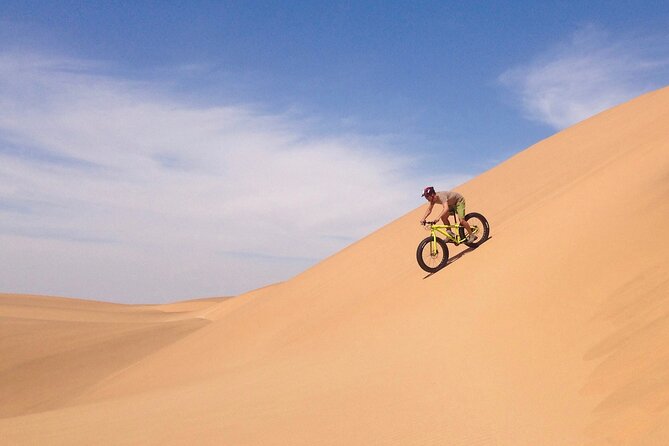 Scenic Desert Tour by Bike - Quick take before you go