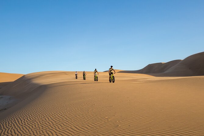 Scenic Desert Tour by Bike - Fitness, age, and safety reality check for dune cycling
