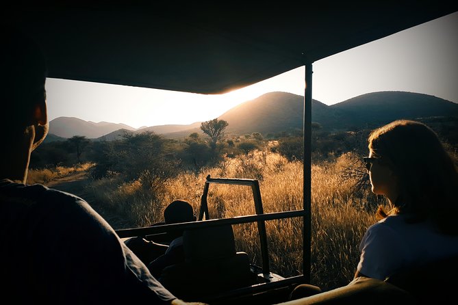 Scenic Game Drive Activity - From Windhoek to Düsternbrook, the timing that makes wildlife easier