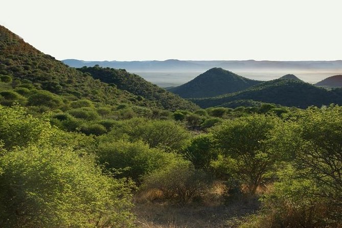 Scenic Game Drive Activity - The Cats Unlimited feeding drive: what you can expect and how to judge it