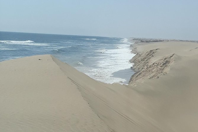 Scenic Sandwich Harbour Tour - Sandwich Harbour: the sea carving dunes in real time