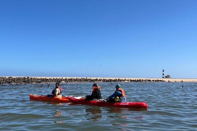 Seal Kayaking at Pelican Point from Swakopmund - Key Things That Make This Kayak Tour Worth Your Time