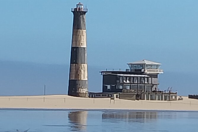 Seal Kayaking at Pelican Point from Swakopmund - Lagoon Birds and Flamingos Before You Paddle