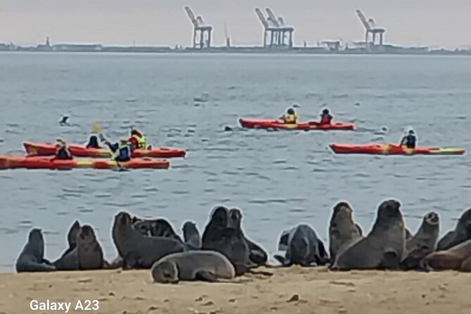 Seal Kayaking at Pelican Point from Swakopmund - Salt Mine Pink Lakes: A Scenic Learning Stop